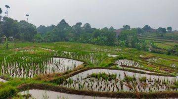 Gambar 4 Tanah Sawah Produktif Sangat Strategis View Lepas Ke Gunung 