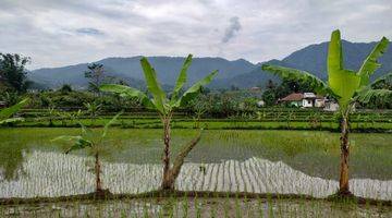 Gambar 5 Tanah Sawah Produktif Sangat Strategis View Lepas Untuk Villa 