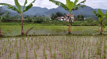 Gambar 1 Tanah Sawah Produktif Sangat Strategis View Lepas Untuk Villa 