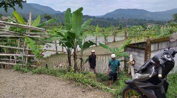 Gambar 3 Tanah Sawah Produktif Sangat Strategis View Lepas Untuk Villa 