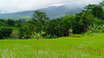 Gambar 1 Tanah Sawah Subur Produktif Sangat Strategis View Lepas 