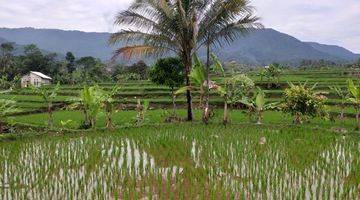 Gambar 2 Tanah Sawah Produktif Sangat Strategis View Lepas Untuk Villa 