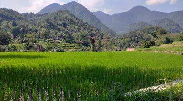 Gambar 4 Tanah Sawah Produktif Sangat Strategis Full View 