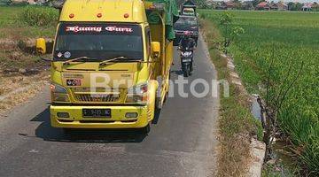 Gambar 2 tanah di desa wonokasian sidoarjo