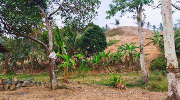 Gambar 3 Tanah di gunung batu cocok untuk quarry SHM