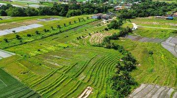 Gambar 4 GREEN BELT VIEW LAND 