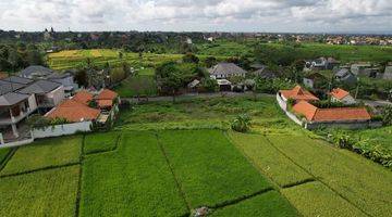 Gambar 2 Land Wiht Rice Fiel View For Leasehold In Tumbak Bayuh Jl Veteran