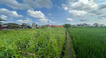 Gambar 4 Land Wiht Rice Fiel View For Leasehold In Tumbak Bayuh Jl Veteran