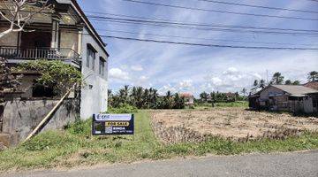 Gambar 1 Dijual 20 Are Tanah Luas Strategis Daerah Tegalalang Ubud.