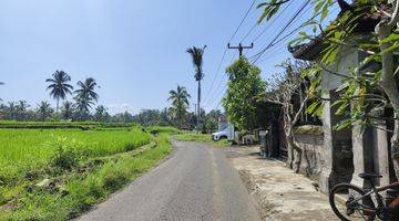 Gambar 4 Dijual 20 Are Tanah Luas Strategis Daerah Tegalalang Ubud.