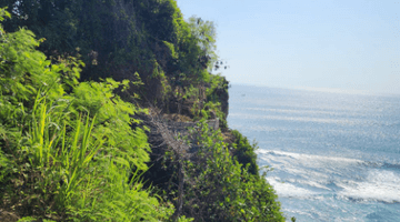 Gambar 3 Tanah di Pecatu Badung Bali, Badung