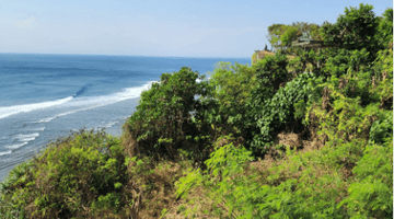 Gambar 4 Tanah di Pecatu Badung Bali, Badung