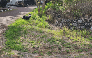 Gambar 1 Tanah di Pecatu Graha Cluster Saha Dewa, Badung