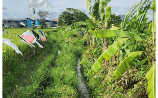 Gambar 2 Tanah di Jl. Kedampang Kerobokan Kelod Kuta Utara Badung Bali
, Badung