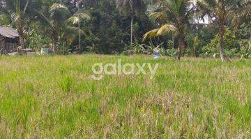 Gambar 4 TANAH RAYA PEJENG TAMPAKSIRING GIANYAR, BALI