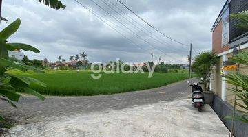 Gambar 2 TANAH BUDUK BERNASI VILLAGE MENGWI BADUNG, BALI