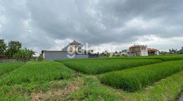 Gambar 4 TANAH BUDUK BERNASI VILLAGE MENGWI BADUNG, BALI