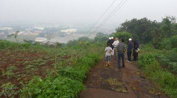 Gambar 1 Jual Tanah Kebun Padalarang