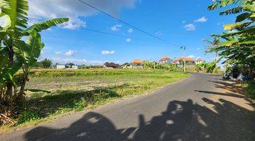 Gambar 1 Tanah View Sawah, Jalan Aspal 6m, Canggu