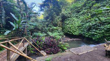 Gambar 3 Dijual Tanah Bonus Air Terjun, Harga Murah