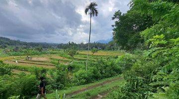 Gambar 4 Dijual Tanah View Gunung, Laut Dan Sawah Yang Sangat Cantik.