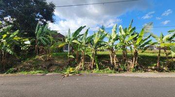 Gambar 3 Tanah View Sawah, Jalan Aspal 6m, Canggu