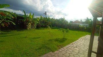 Gambar 4 For Sale 3 Bedroom Villa Sale Under The Price Normal Super Cheap Near Lovina Beach 