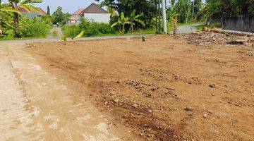 Gambar 1 For Sale Land Close To Central Lovina Area Villas Just Walking Distance To The Central 