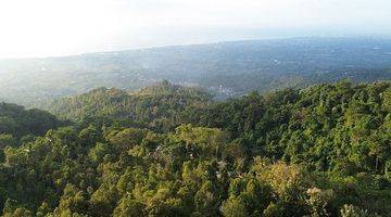 Gambar 5 For Sale Ocean View Land And Building In The Hill Of Lovina And Waterfall View And Ocean 