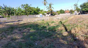 Gambar 3 For Sale Premium Beach Front Land In Area Of Lovina