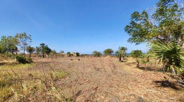 Gambar 3 For Sale Land Ocean View Near Central Diving In Tulamben 