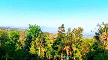 Gambar 4 For Sale   Premium Land With Ocean View,montain  On Asphalt Road Ready To Build Sale Direct Owner 