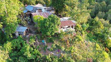 Gambar 4 For Sale Ocean View Land And Building In The Hill Of Lovina And Waterfall View And Ocean 