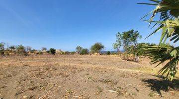 Gambar 4 For Sale Land Ocean View Near Central Diving In Tulamben 