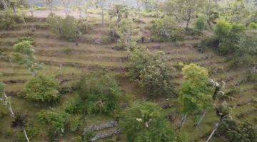 Gambar 4 For Sale Land 2 Hektar Super Cheap N Fantastic Views Good For Investment 