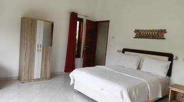 Gambar 2 For Sale 3 Bedroom Villa Sale Under The Price Normal Super Cheap Near Lovina Beach 