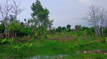 Gambar 2 For Sale Land In Lovina Area Just 100 Meter To The Beach 