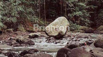 Gambar 3 Tanah Dekat Wisata air Panas Yeh Panes Tabanan