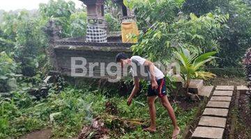 Gambar 2 Tanah Dekat Wisata air Panas Yeh Panes Tabanan