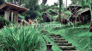 Gambar 1 Tanah Dekat Wisata air Panas Yeh Panes Tabanan