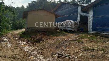 Gambar 2 Tanah Bangunan Kandang Ayam Di Sukajaya Jonggol Bogor  Lt 6300