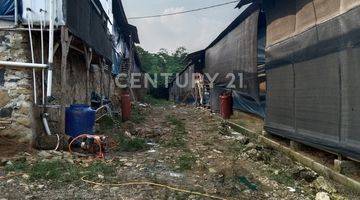 Gambar 3 Tanah Bangunan Kandang Ayam Di Sukajaya Jonggol Bogor  Lt 6300