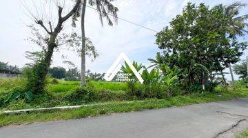 Gambar 4 Jual Tanah Jalan Kaliurang Km 11 View Sawah Akses Mudah