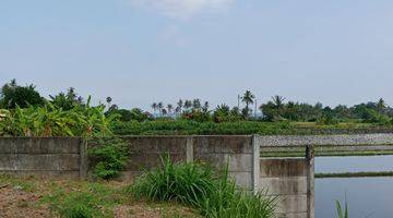 Gambar 2 Tanah vew sawah deket pantai lingkungan tenang area ubud Gianyar