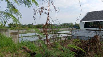 Gambar 3 Tanah vew sawah deket pantai lingkungan tenang area ubud Gianyar