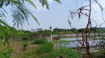 Gambar 4 Tanah vew sawah deket pantai lingkungan tenang area ubud Gianyar