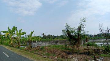 Gambar 5 Tanah vew sawah deket pantai lingkungan tenang area ubud Gianyar