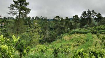 Gambar 5 Tanah View Sawah Dan Lembah, Lingkungan Tenang Dan Sejuk Di Ubud