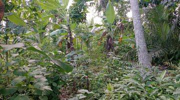 Gambar 2 Tanah vew sawah, lingkungan tenang dibubud