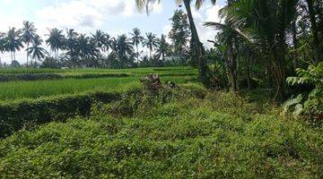 Gambar 5 Tanah Suasana Cantik Menawan Diubud, Vew Sawah, Sungai Dan Hutan